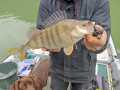 IMG-20210829-WA0000