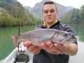 IMG-20220501-WA0017
