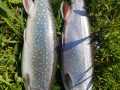 IMG-20220504-WA0002
