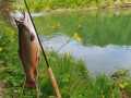 IMG-20250503-WA0000