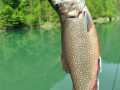 IMG-20250503-WA0003
